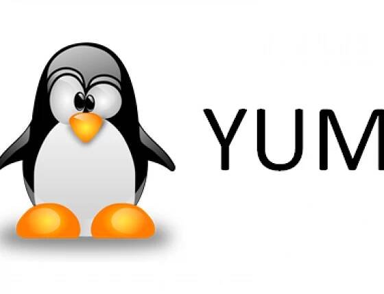 YUM PACKAGE MANAGER IN RHEL/CENTOS