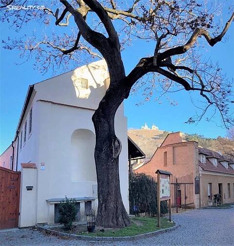 Pronájem Dům, Náměstí, Mikulov