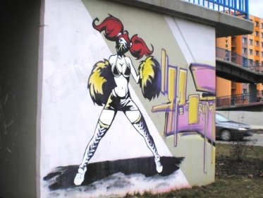 Sprejeři vnímají graffiti jako styl života a umění