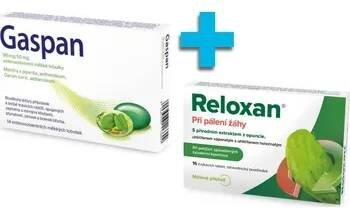 Reloxan Mint žvýkací 16 tablet + GASPAN enterosolventní tobolky 14 ks