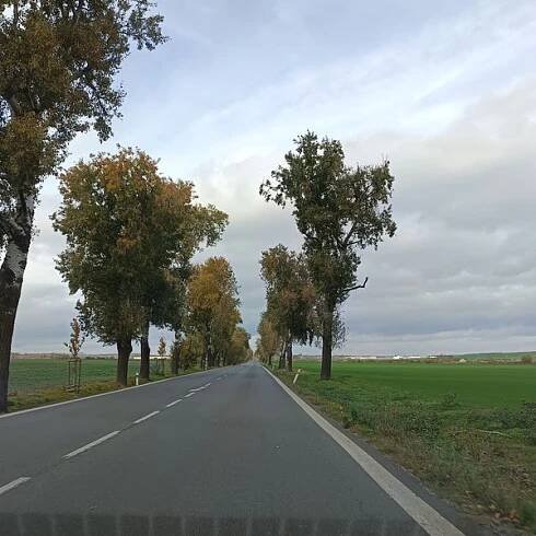 Photos • I/38 road (Road, motorway) • Mapy.com