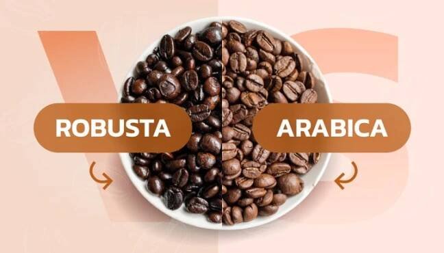 Arabica vs. Robusta – jaký je rozdíl?
