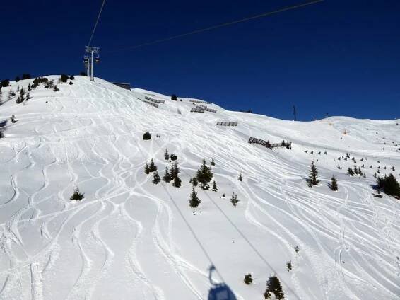 Advanced skiers, freeriders Spieljoch – Fügen – freeriding Spieljoch – Fügen