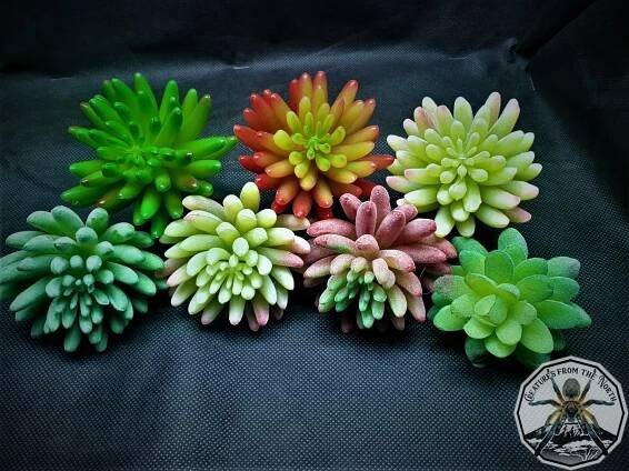 Artificial succulent XL