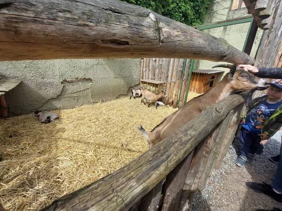 Papouščí ZOO Bošovice - Oficiální stránky MŠ Rousínov