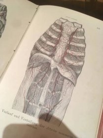Kniha Anatomie des Menschen, lexikon anatomie člověka, z r. 1896 - Antikvariát