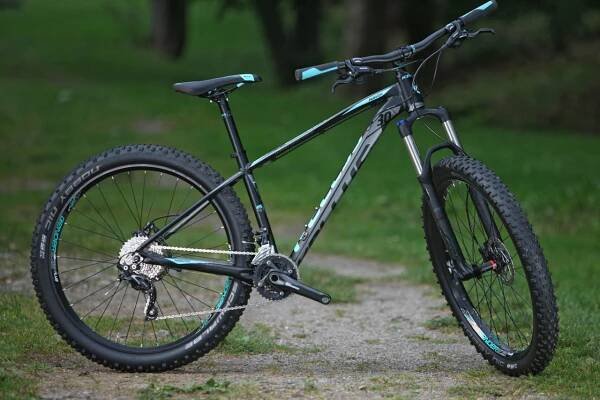 Kellys Gibon 30