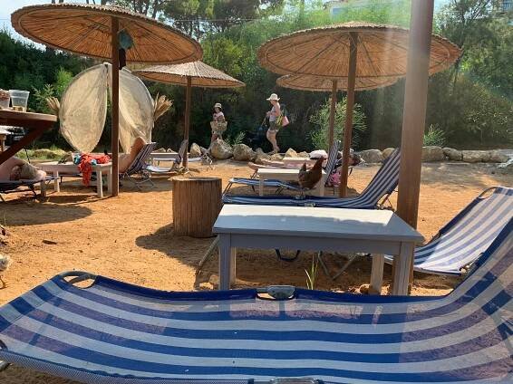 ARION RESORT - Updated 2025 Hotel Reviews (Zakynthos/Vasilikos)