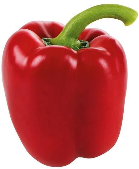 Da komm ich her! Paprika Rot