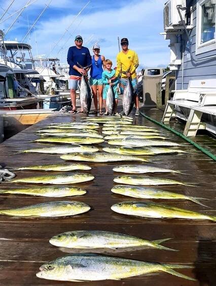 cobia | Outer Banks Charters