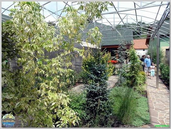 Papouščí zoo Bošovice