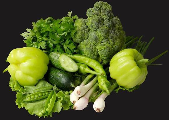Domáce pestovanie | profigreen.sk