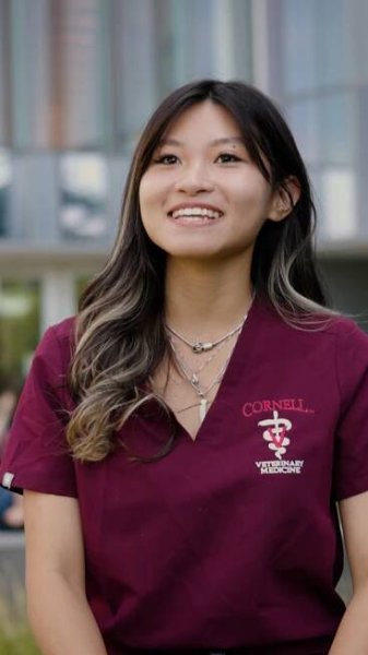 Admissions | Cornell University