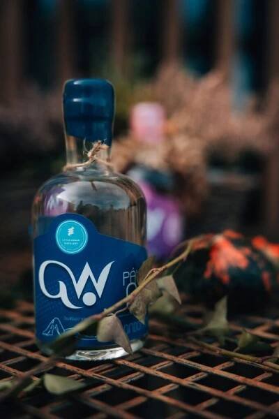 Open gin párty