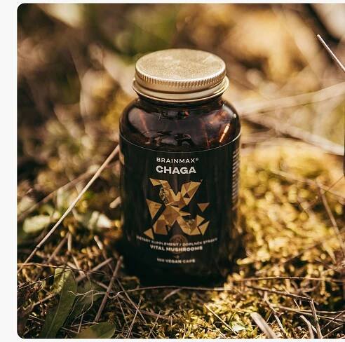 chaga produkt5-min