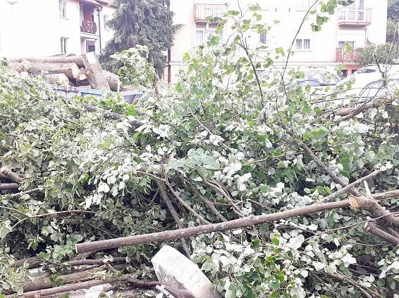 VIDEO: Bouře se ve čtvrtek prohnala Luhačovicemi, místní mluví o tornádu