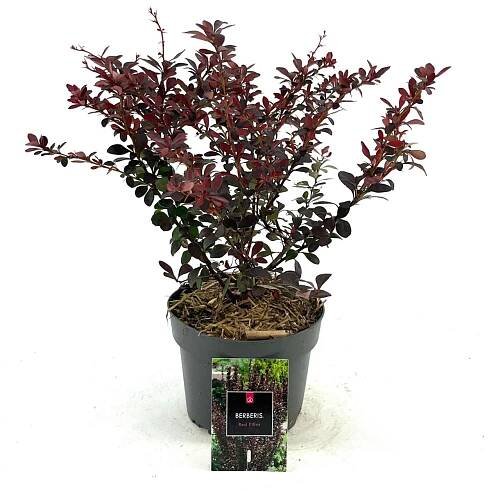 Produkte von A-Z - X-Plant