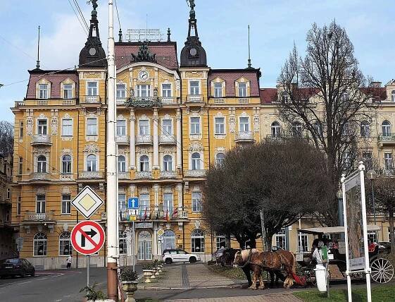 Drožkář vyhlíží hosty.