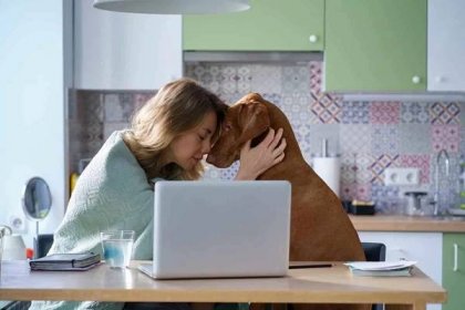 nešťastná dospělá žena objímá psa depresivního s novou pracovní pozicí volná místa hledat sedět v kuchyni sám - amicable divorce - stock snímky, obrázky a fotky