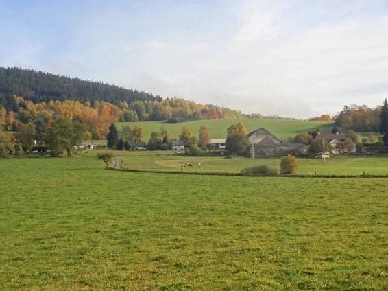 Petrovice u Sušice Chamutice