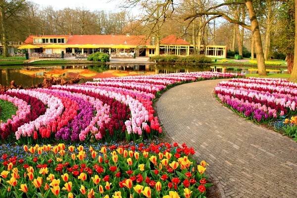 Květinový park Keukenhof - ráj tulipánů i dalších květin