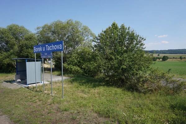 Borek u Tachova