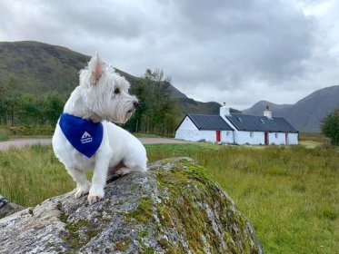 A dog-friendly Hostelling Scotland break in the heart of Glencoe