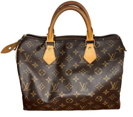 LOUIS VUITTON Speedy 30 Monogram