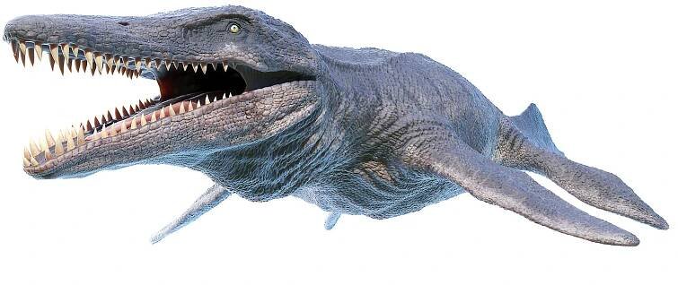 3D dinopack https://p.turbosquid.com/ts-thumb/Iq/aZWgbF/wJ/kronosaurus0000/jpg/1610550643/1920x1080/fit_q87/30f120f6de92069536ffc2d8f351f35b3361b5ad/kronosaurus0000.jpg