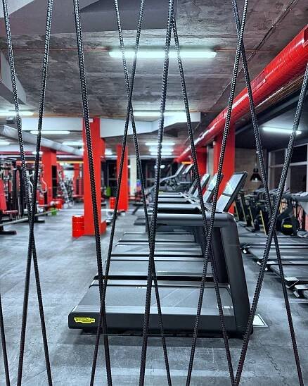 Otevíráme!! - Czech Virus Gym