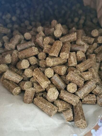 Dogenesis Hundefutter Pellets: Groß, aber einfach durchzubrechen