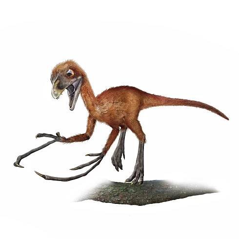 Most Dinosaur Species Are Still Undiscovered | National Geographic