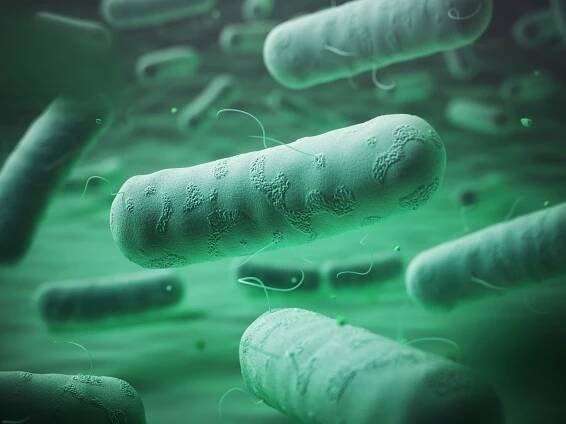 enterobakteriaceas. gramnegativní bakterie salmonella, klebsiella, legionella, mycobacterium tuberculosis, enterobacter - legionella pneumophila stock ilustrace