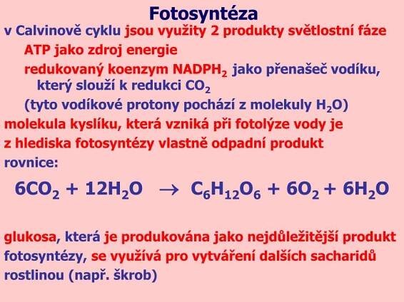 PPT - Metabolismus IV. PowerPoint Presentation, free download - ID:5949353