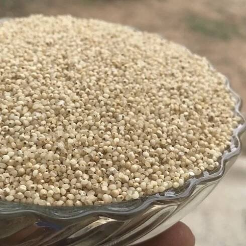 Buy organic and unpolished Millets Diet Combo Pack of 5 ( Little Millet, Kodo Millet, Barnyard Millet, Foxtail Millet