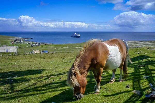 Day 10 Foula, Shetland Islands | 
