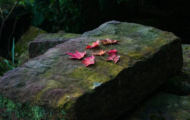 Wei-Cheng Wu (@spencerwuwu) | Unsplash Photo Community