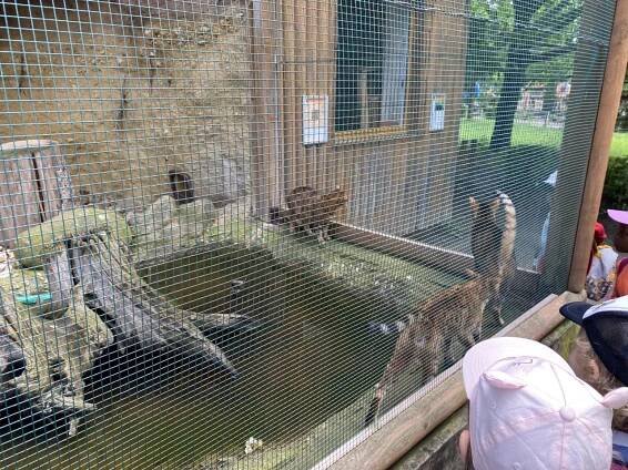 Výlet do Zoo Vyškov - Oficiální stránky MŠ Rousínov
