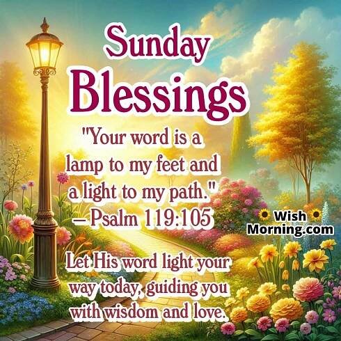 Sunday Blessings image featuring forest path with soft lantern light, symbolizing God’s word and direction.