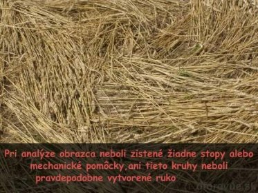 Kruhy v obilí objavené na Slovensku