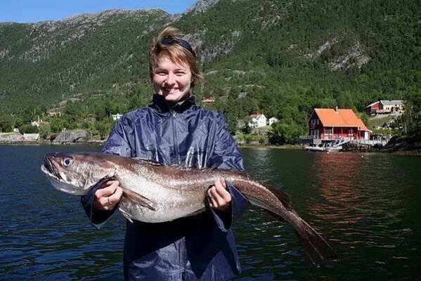 štikozubec ulovený v Tingvollfjordu