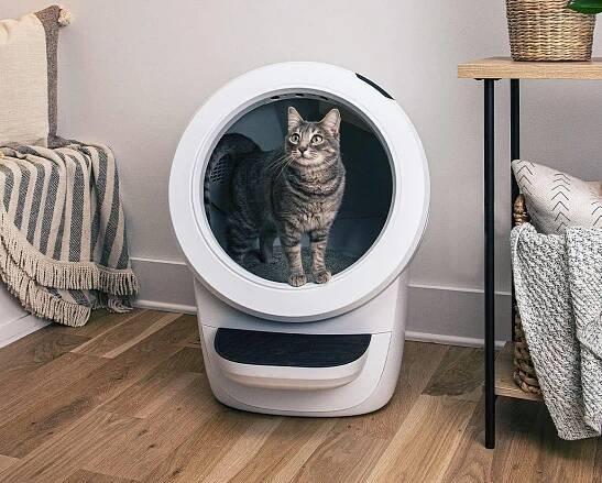 Persian cat using Litter-Robot 4 with litter box accessories