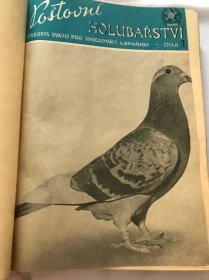 Svazek časopisů Poštovní holubářství kompletní 2. a 3. ročník - Starožitnosti a umění