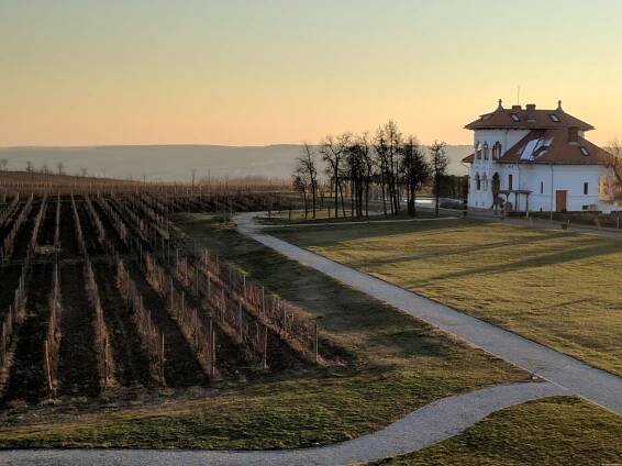 Wine Tourism in Romania - a Trip to Romania to learn about their Wine