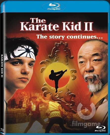 Blu-Ray Karate Kid 2 od 399 Kč
