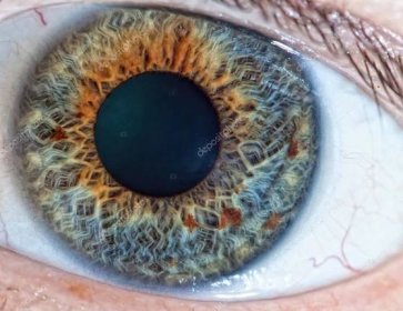 Stáhnout - Lidské oko. makro — Stock obrázek