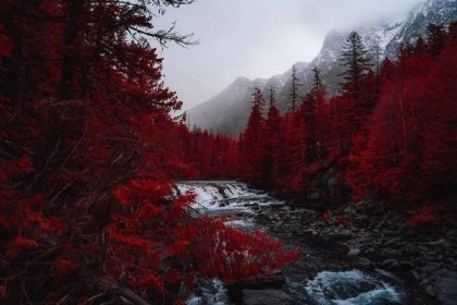 řeka, stromy, Červená, hory, mlha, krajina