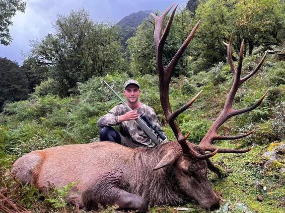 Wapiti HOSI | NZ Game Animal Council