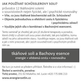 tkanove soli dr Schuesslera- 12 zakladnich v souvislostech_popis_Energie rostlin