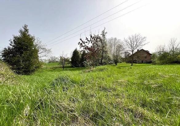 Rodinný dům s pozemky 1.658m2 v obci Hvožďany. | 1. Chodská realitní kancelář v.o.s. 